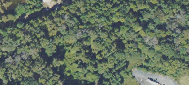 Jesup, GA 31545