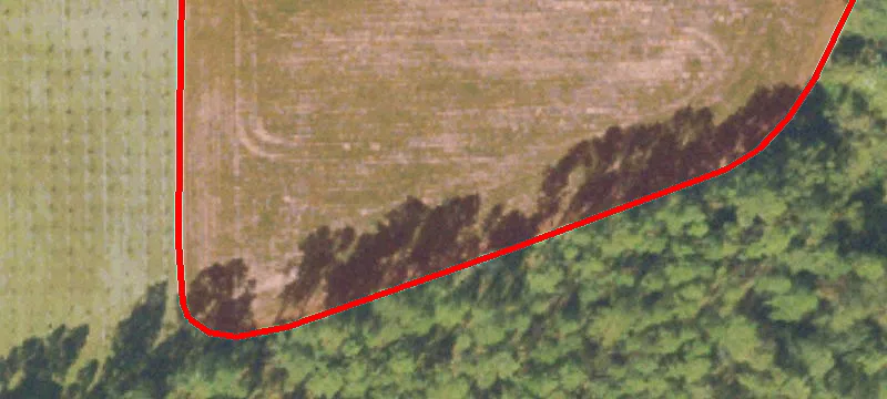 Patterson, GA 31557
