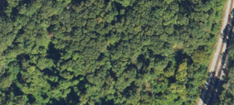 Woodland, GA 31836