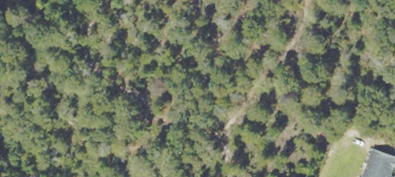 Jesup, GA 31545