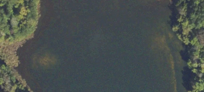 Hwy 54