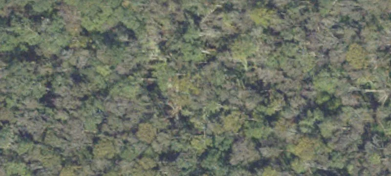 Hickory Grv Rd