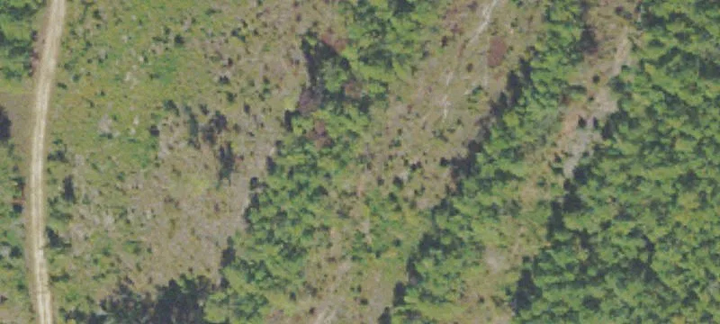 1074 Warnell Farm Rd