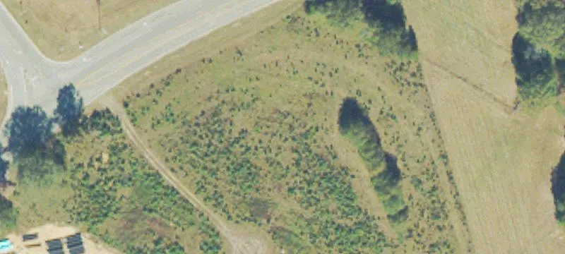 Harry Mccarty Rd