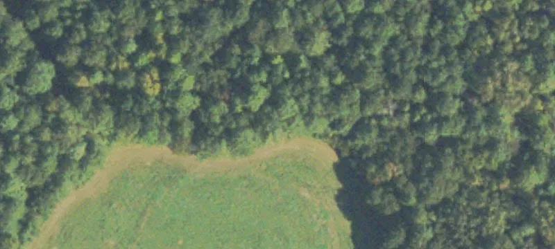 Fortson Store Rd