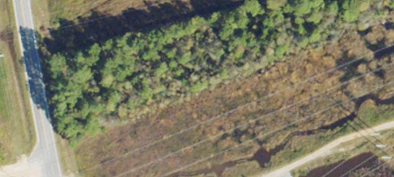 Hazlehurst, GA 31539