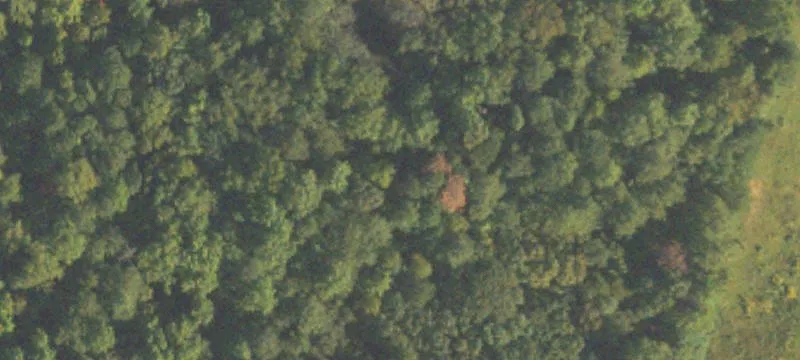 3684 Highway 5