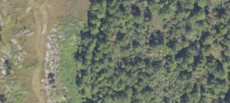 Pearson, GA 31642