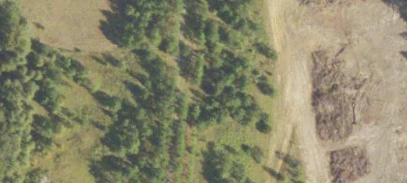 Jw Griggers Rd