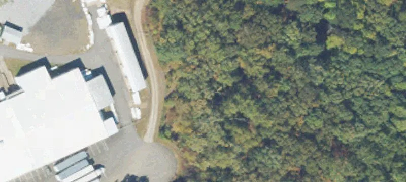 Hogan Pond Rd