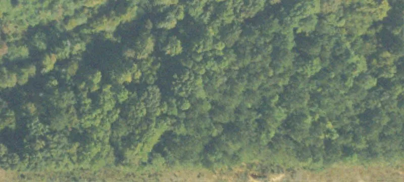 Calhoun, GA 30701