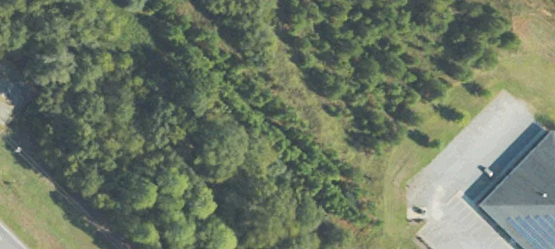 Us 82