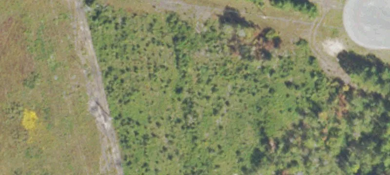 Woodbine, GA 31569