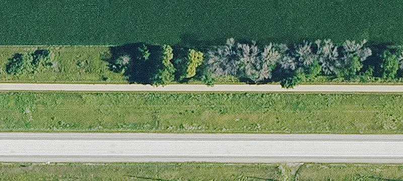 Jewell, IA 50130