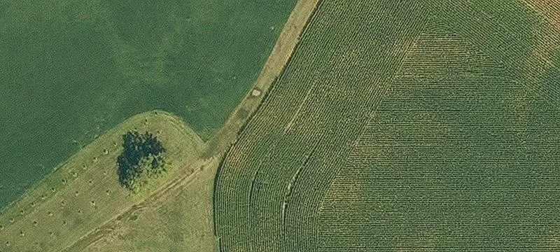 Dixon, IA 52745