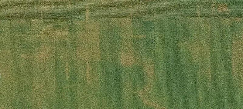 Fremont, IA 52561