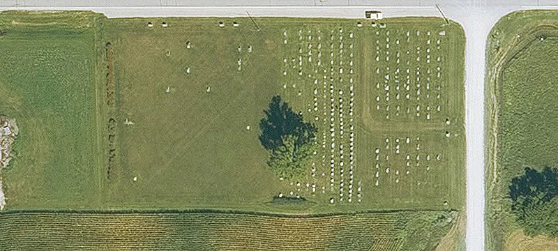Donnellson, IA 52625