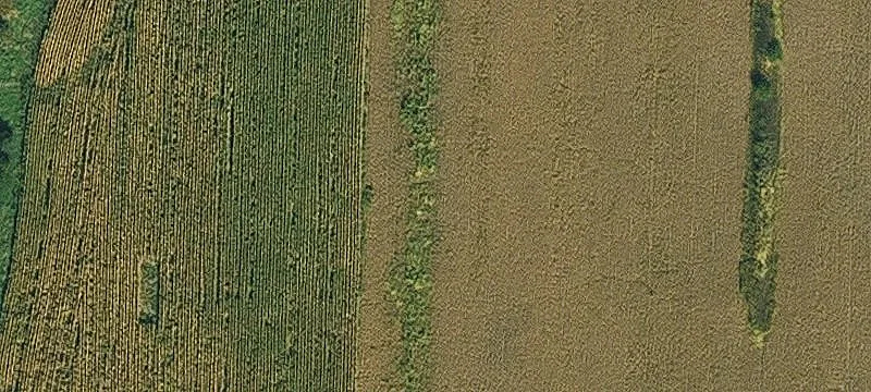 Bedford, IA 50833