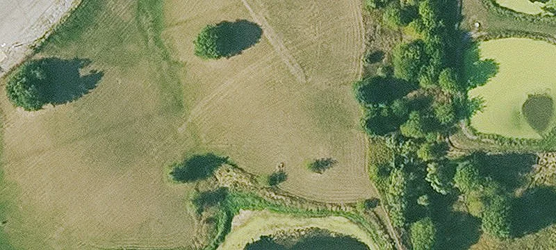 4177 Hwy 21