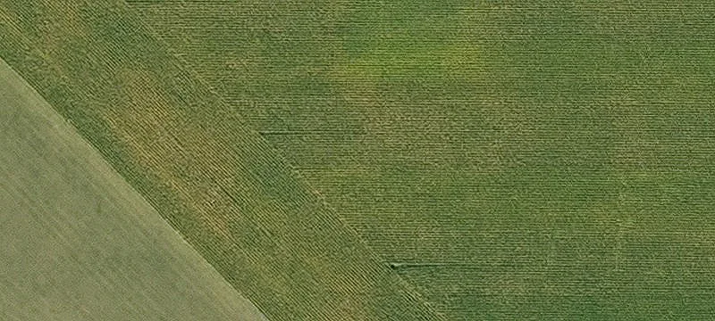 Fremont, IA 52561
