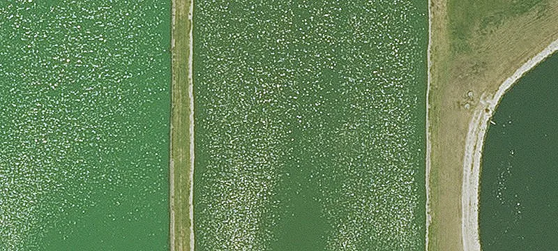 Alburnett, IA 52202