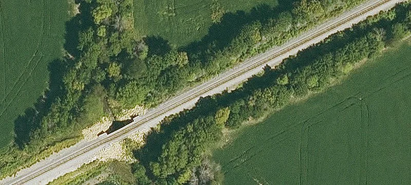 Letts, IA 52754