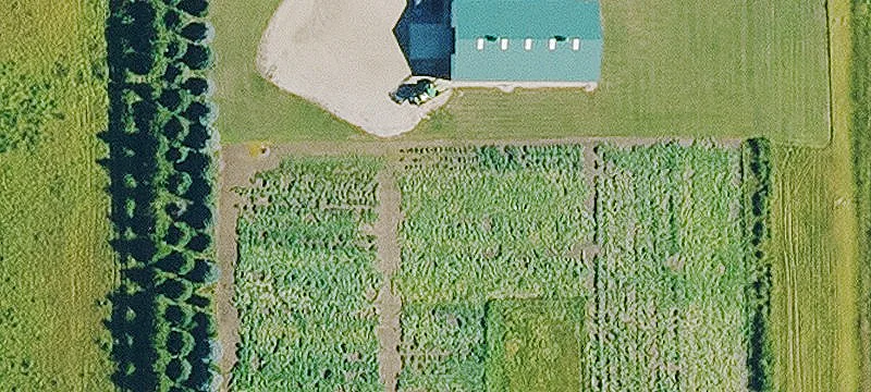 17925 Hwy 9th 9