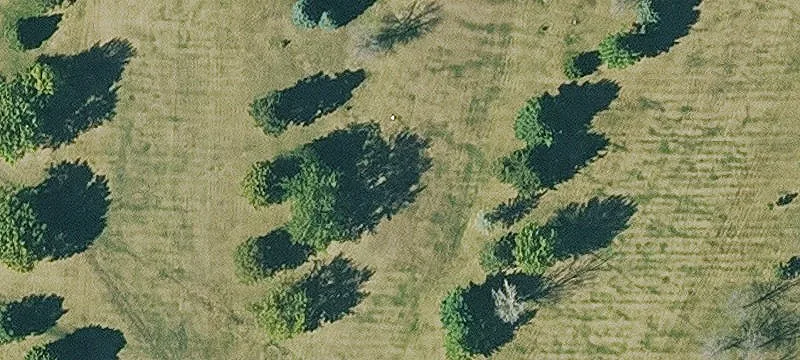 2689 Country Clb Dr