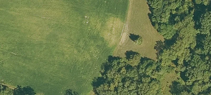 2996 Hwy 38