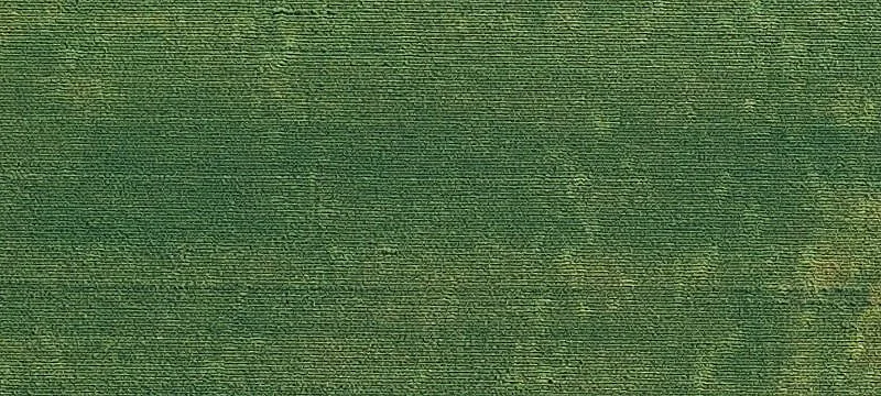 Dexter, IA 50070