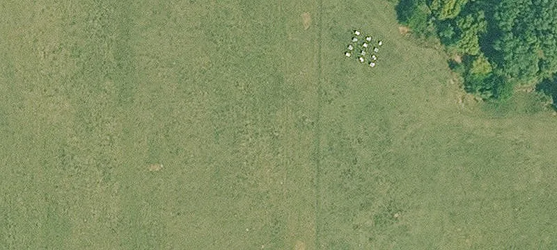 Wallingford, IA 51365