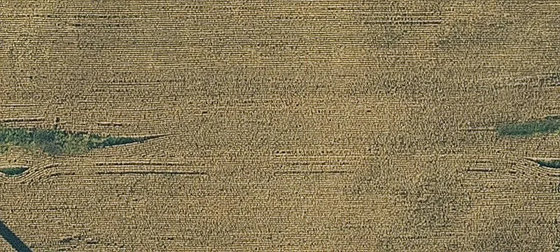 Menlo, IA 50164
