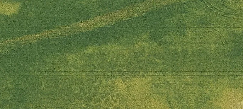 Wapsie Y Rd