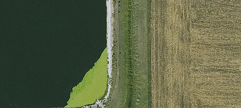 Fertile, IA 50434