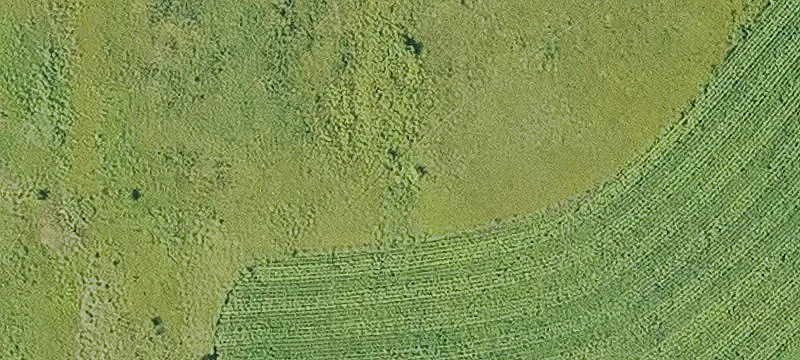 Hornick, IA 51026