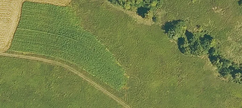 Worthington, IA 52078