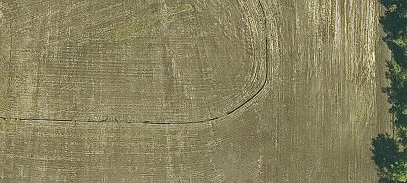Walnut St