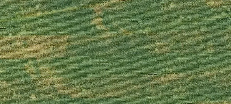 Minburn, IA 50167