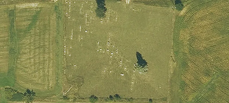 Holy Cross, IA 52053