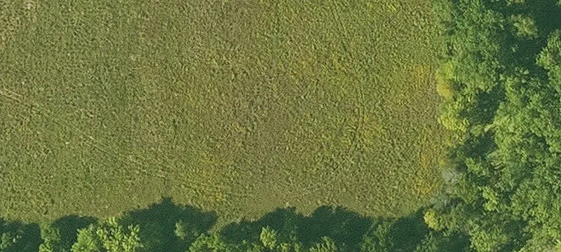 Coggon, IA 52218