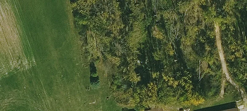 Osage, IA 50461