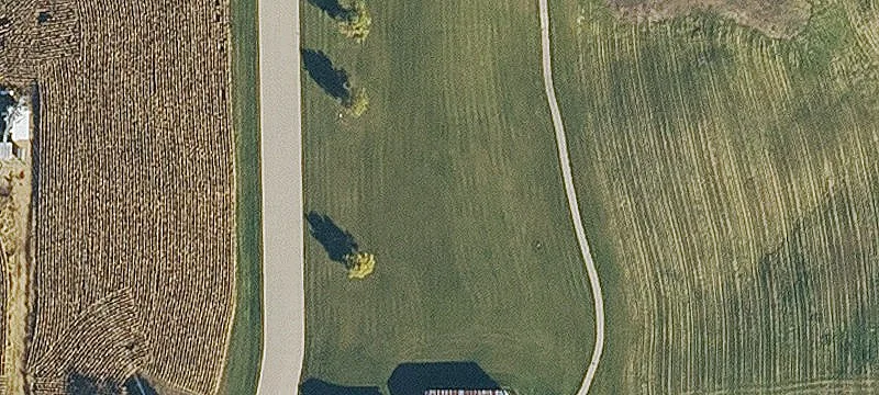 Timber Dr