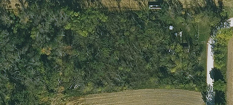 Osage, IA 50461