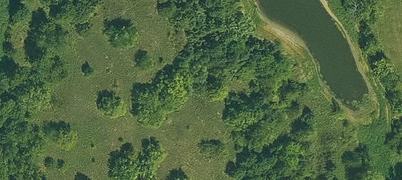 Osceola, IA 50213