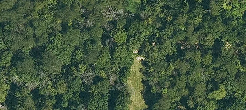 2473 Peach Orch Rd