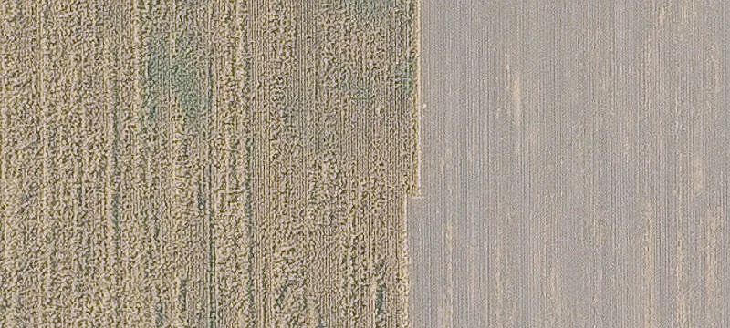 Pella, IA 50219