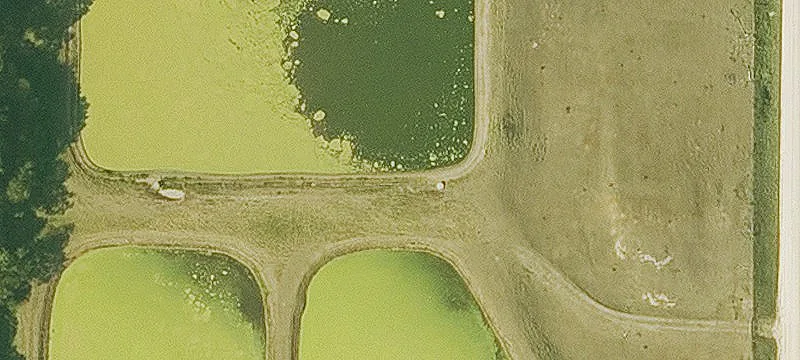 Dundee, IA 52038