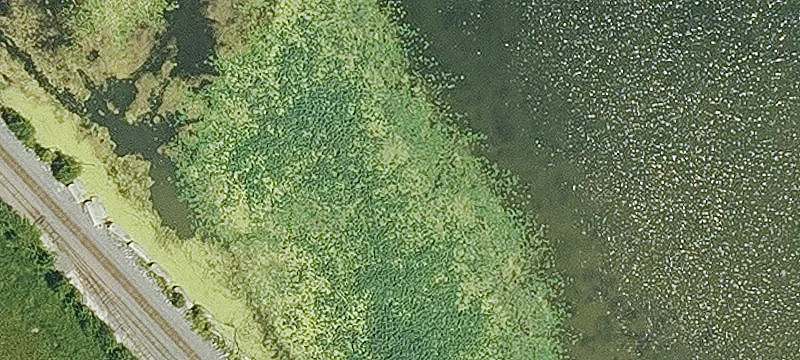 Montrose, IA 52639