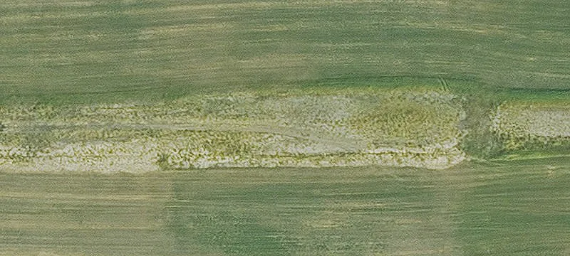 Huxley, IA 50124