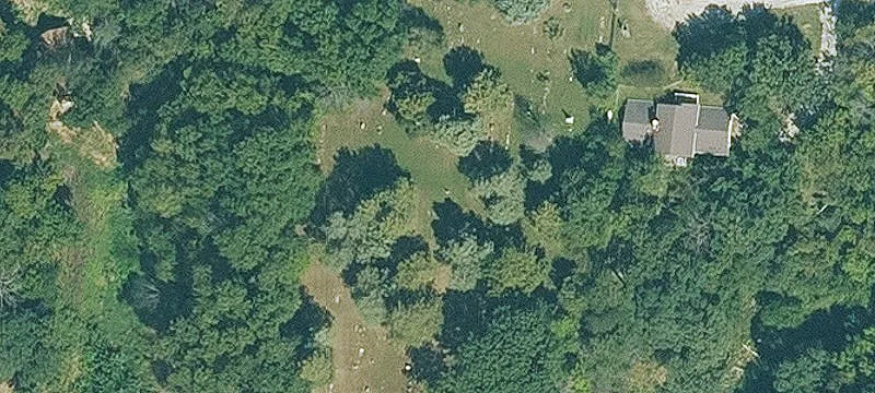 318 Hickory Ln